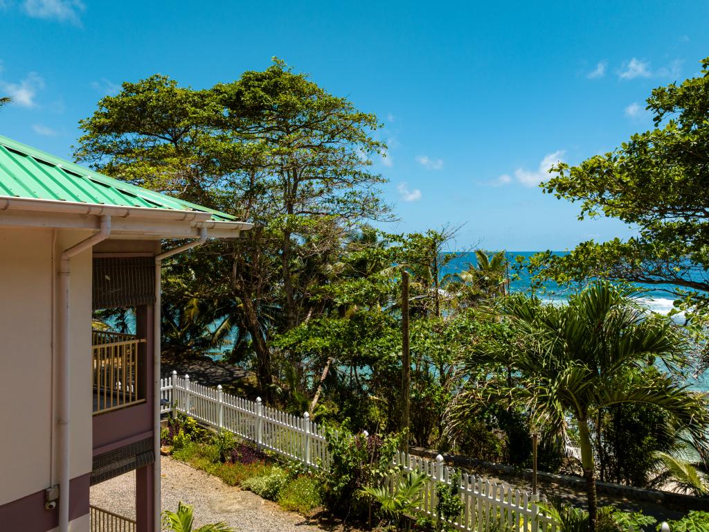 Will's Apartments - Photo 8