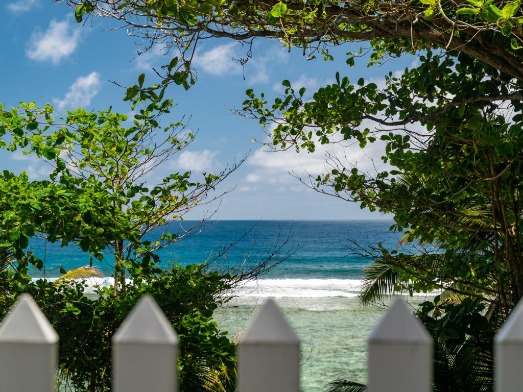 Will's Apartments - Photo 9