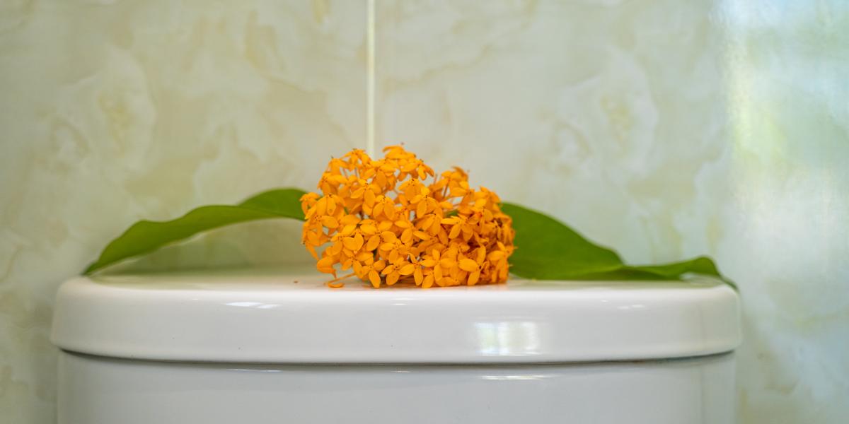 Will's Apartments - Family Apartment Fregate