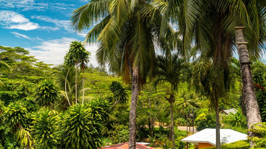 Foto 25: JAIDSS Holiday Apartments - Mahé (Seychelles)