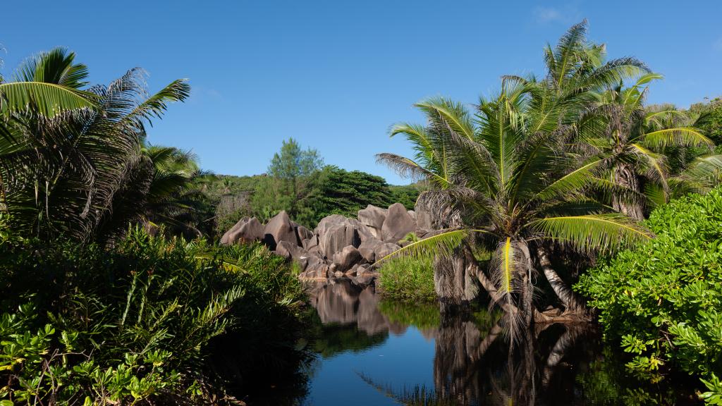 Photo 7: Dan Kazou - La Digue (Seychelles)