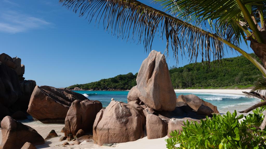 Photo 18: Dan Kazou - La Digue (Seychelles)
