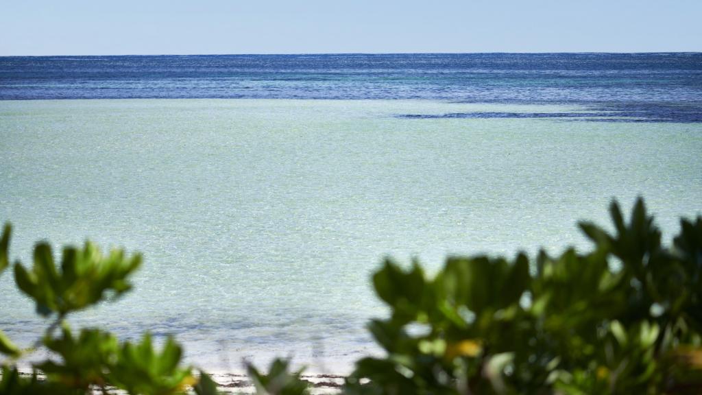 Photo 90: Canopy by Hilton Seychelles - Mahé (Seychelles)