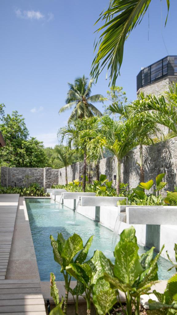 Photo 30: Canopy by Hilton Seychelles - Mahé (Seychelles)