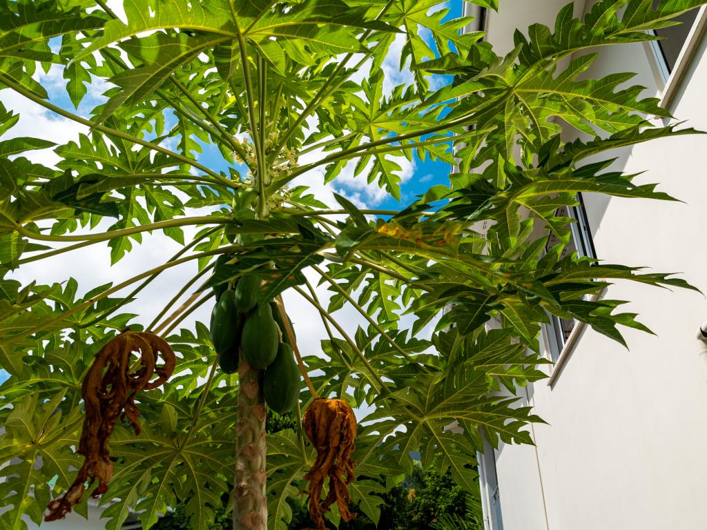 Riverside Residence - Foto 8