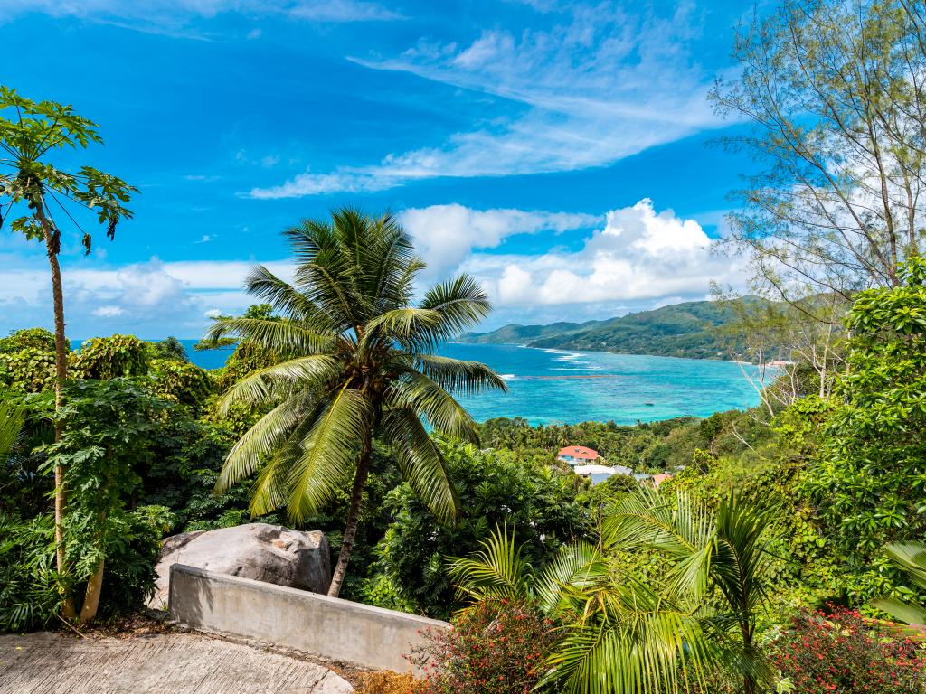 Anse Royale Bay View Apartments - Foto 2
