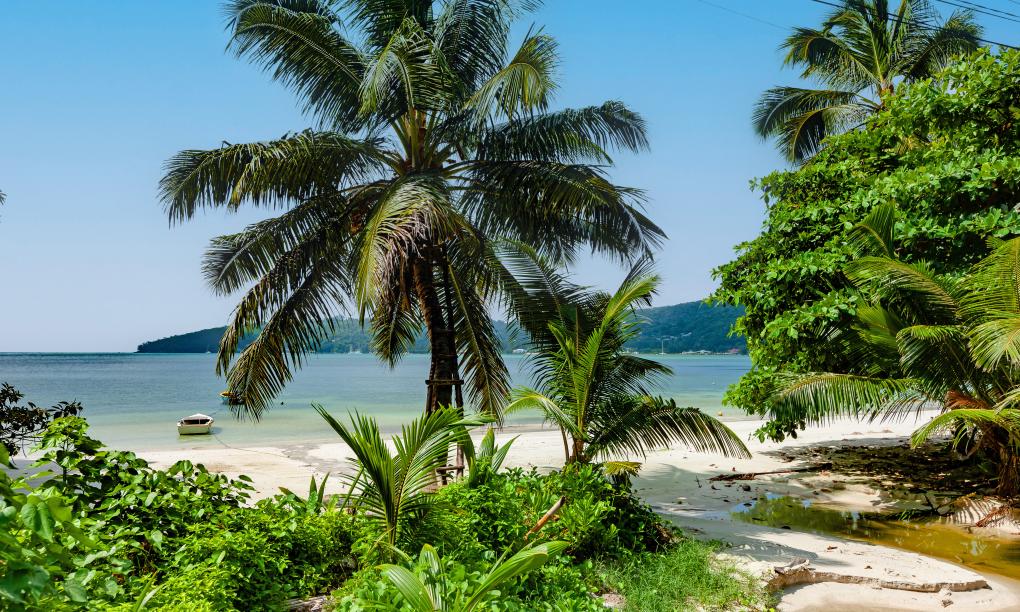 Le Vasseur La Buse Eco Resort