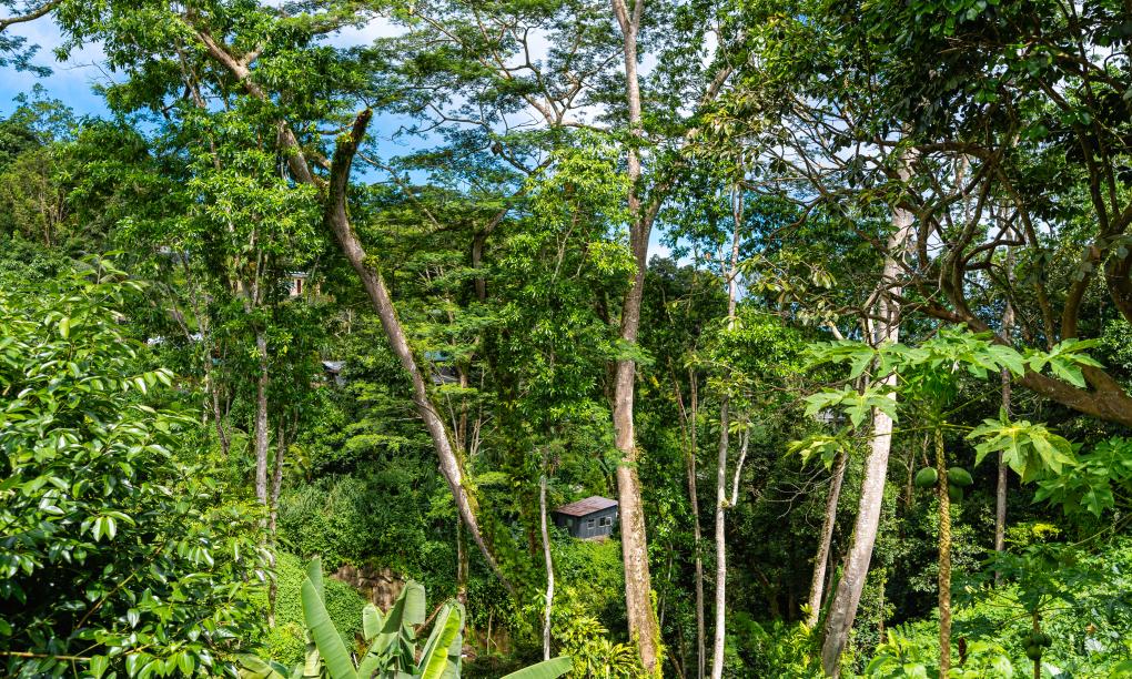 Paradise Breeze Apartments