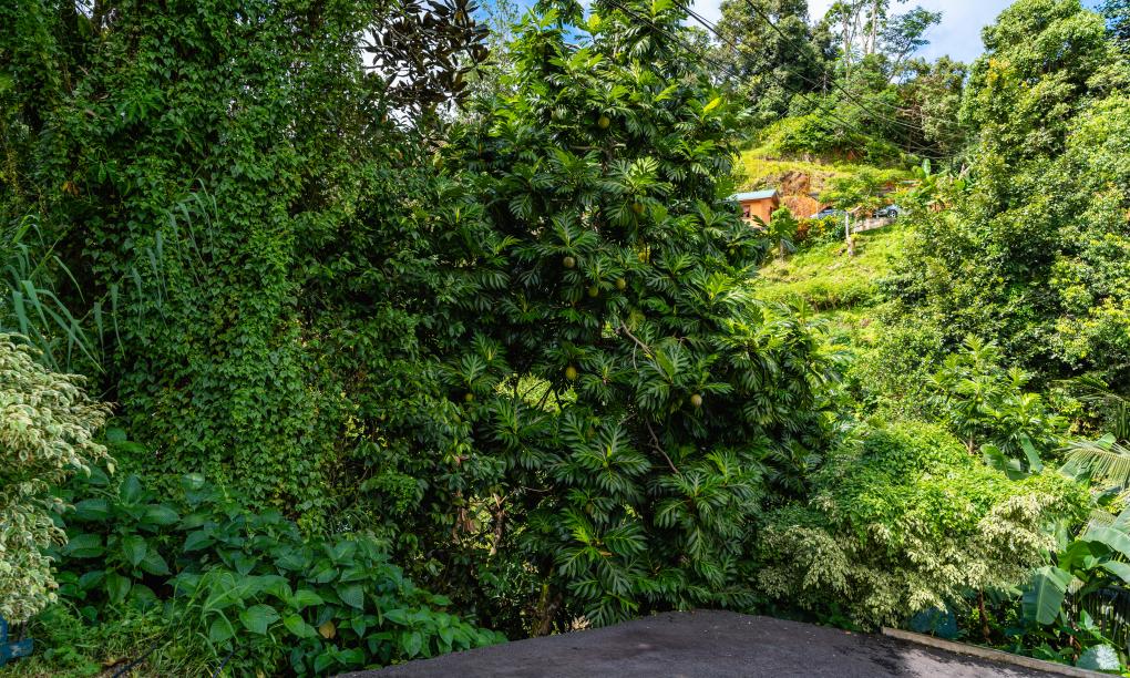 Paradise Breeze Apartments