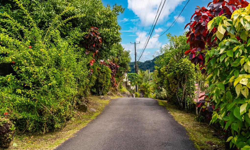 Paradise Breeze Apartments