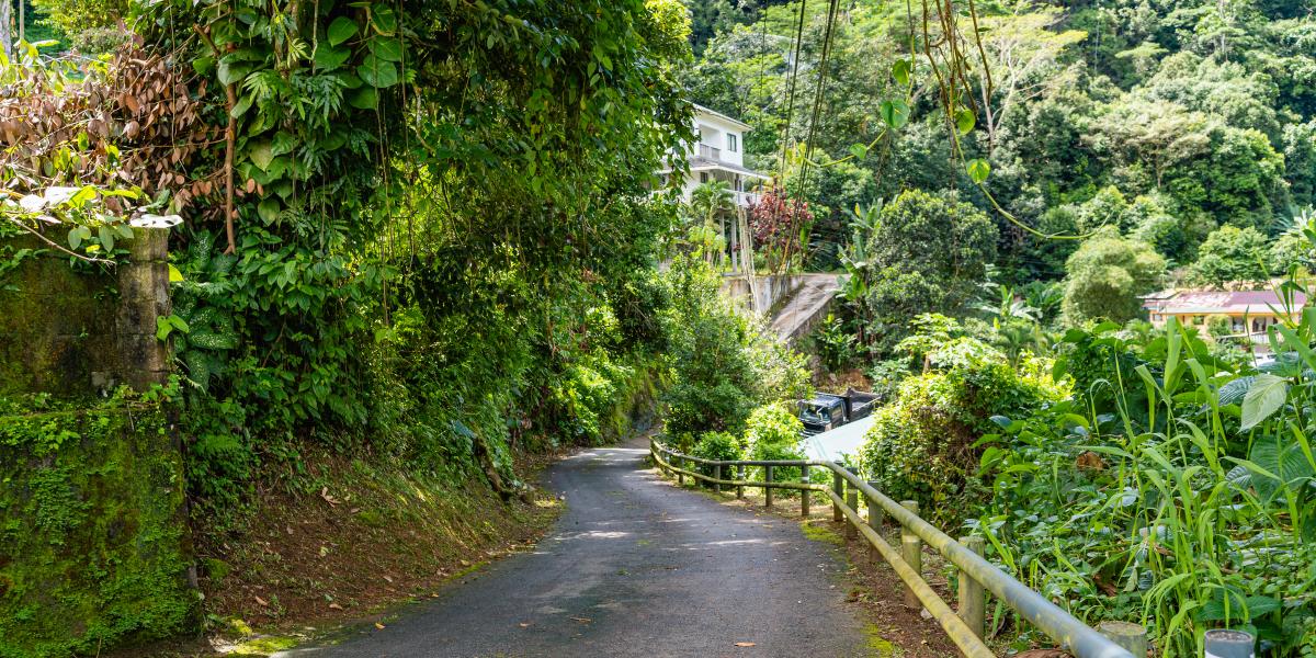 Paradise Breeze Apartments