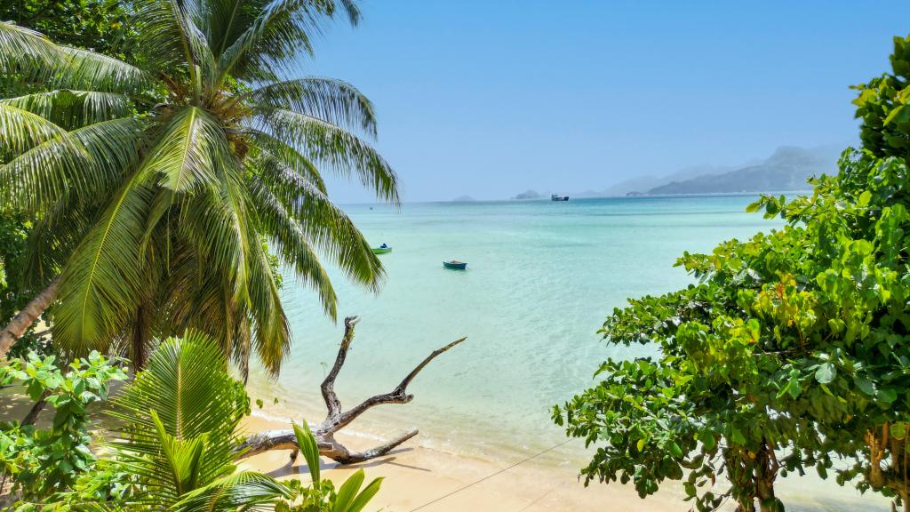 Foto 42: TES Self Catering - Mahé (Seychelles)