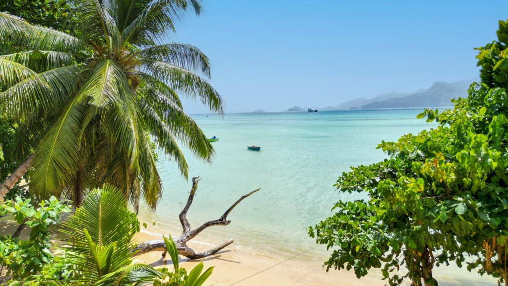 Photo 43: TES Self Catering - Mahé (Seychelles)