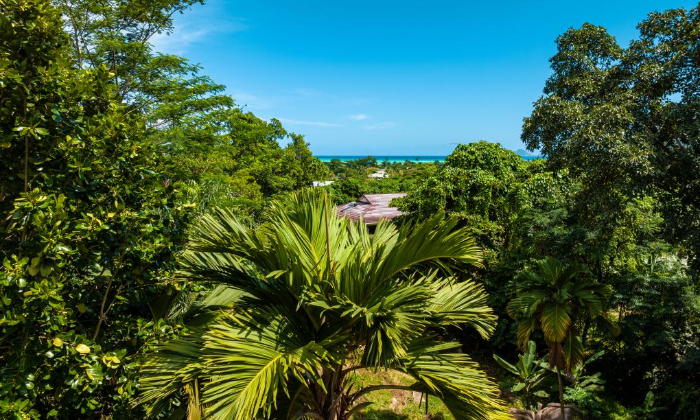 Riverside Retreat (Seychelles)