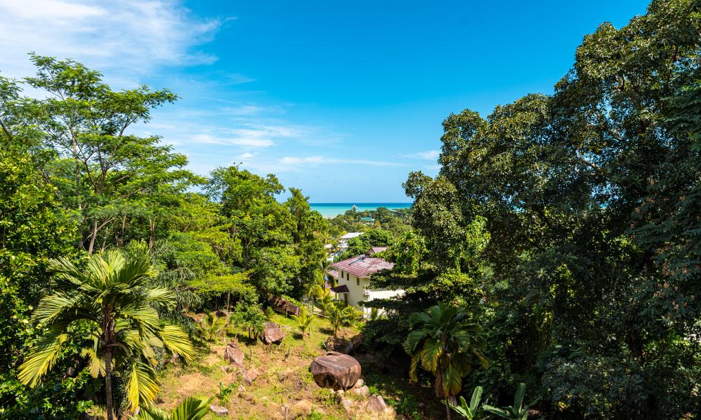 Riverside Retreat (Seychelles)