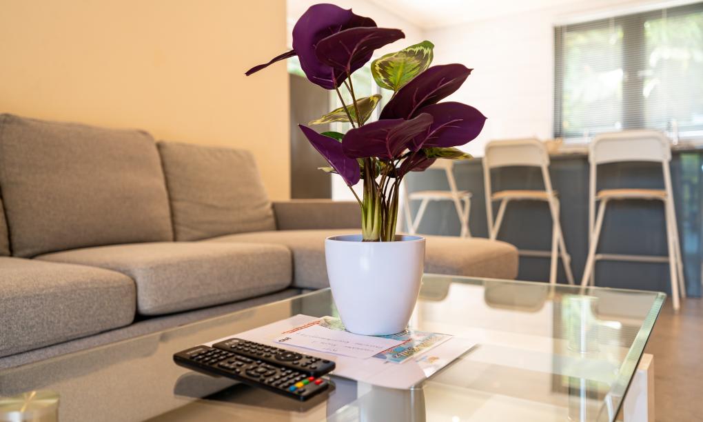 Riverside Retreat (Seychelles) - 1-Schlafzimmer-Appartement