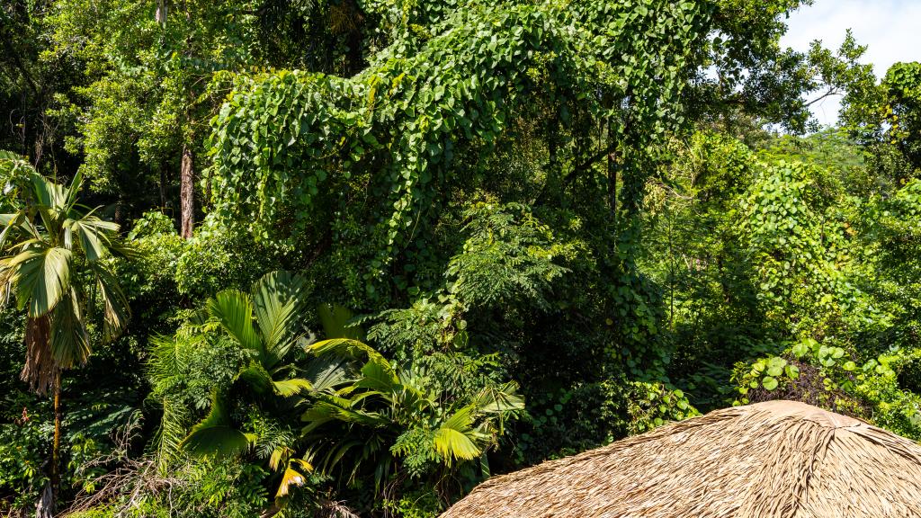 Foto 35: Riverside Retreat (Seychelles) - Mahé (Seychellen)