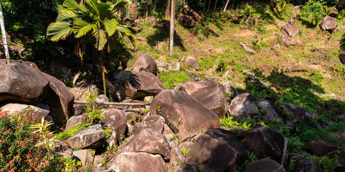 Riverside Retreat (Seychelles)
