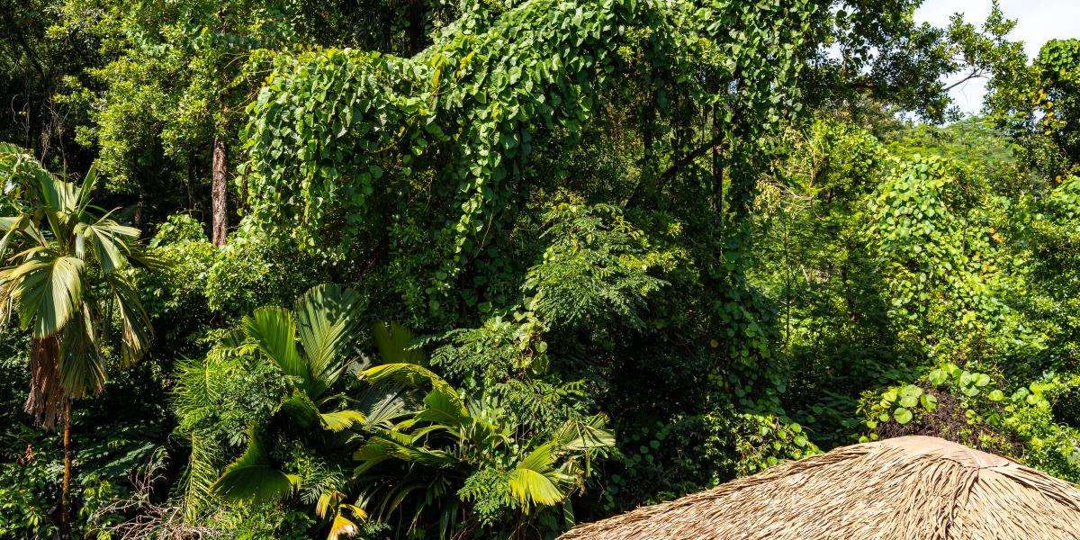 Riverside Retreat (Seychelles)