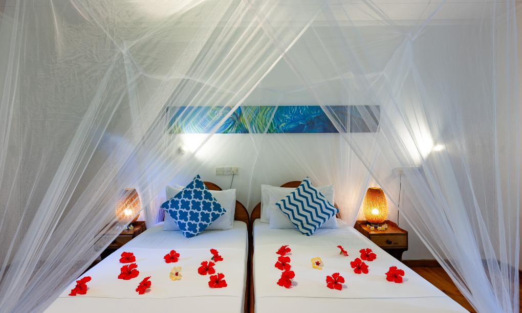 Bois d'Amour - Chalet Kokoleo 5