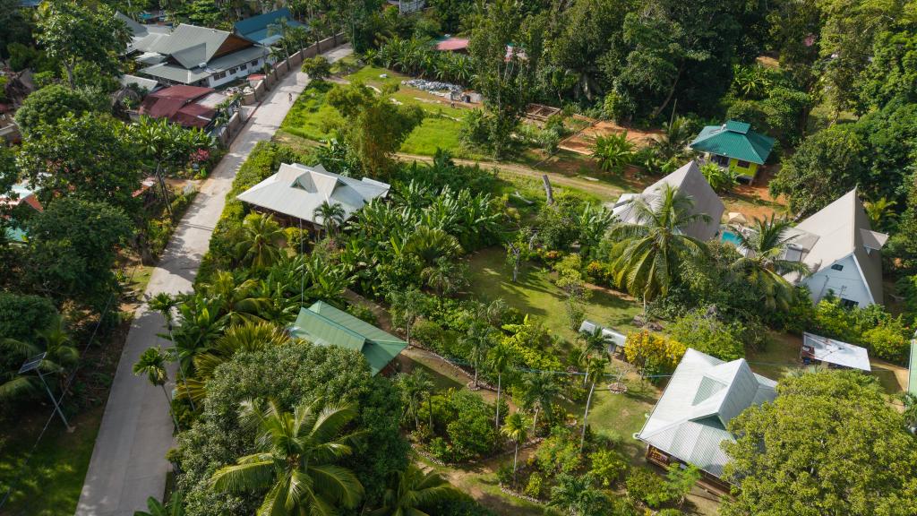 Photo 29: Bois d'Amour - La Digue (Seychelles)