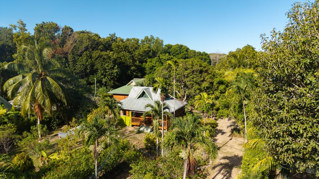 Photo 32: Bois d'Amour - La Digue (Seychelles)