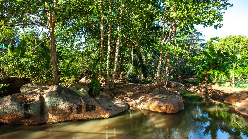 Photo 35: Bois d'Amour - La Digue (Seychelles)
