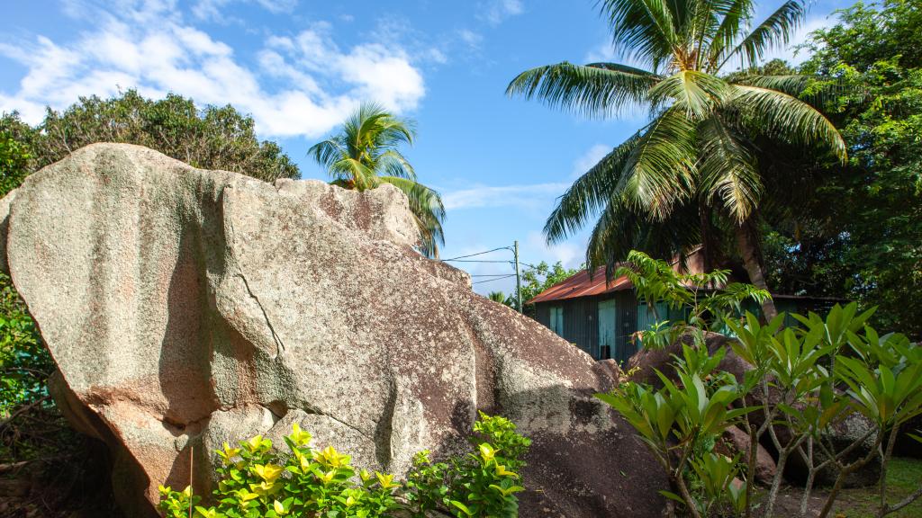 Photo 6: Bois d'Amour - La Digue (Seychelles)