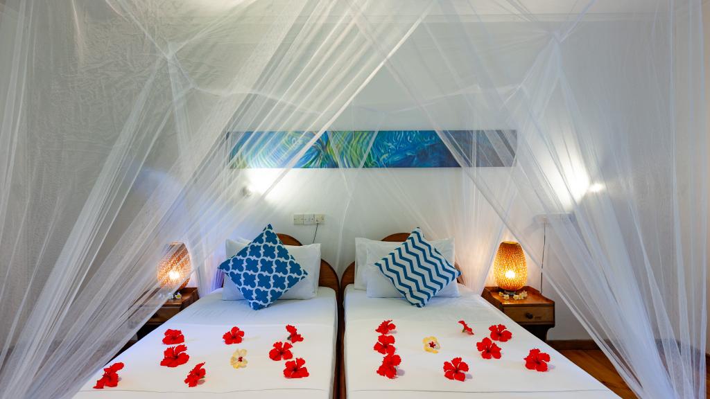 Photo 113: Bois d'Amour - La Digue (Seychelles)