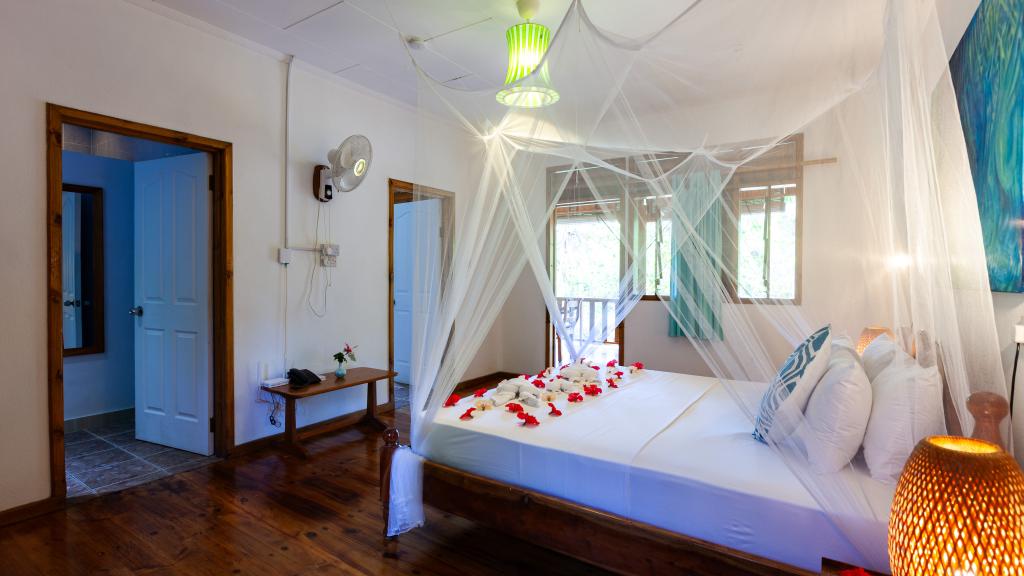 Photo 99: Bois d'Amour - La Digue (Seychelles)