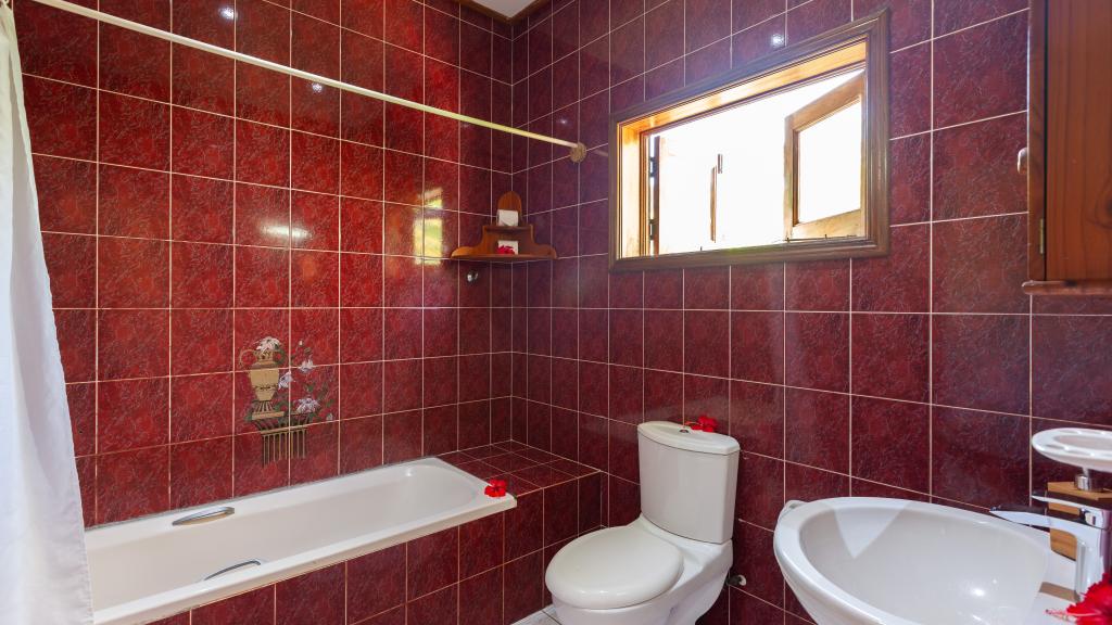 Photo 80: Bois d'Amour - La Digue (Seychelles)