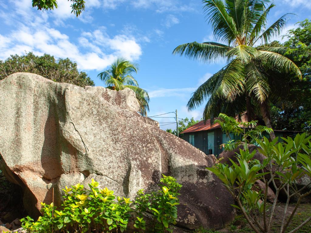 Bois d'Amour - Photo 7