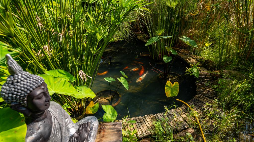 Foto 18: Paradise Chalets Yoga & Wellness - Mahé (Seychelles)