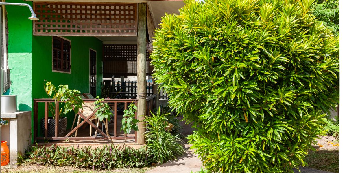 Fern Lodge Self Catering