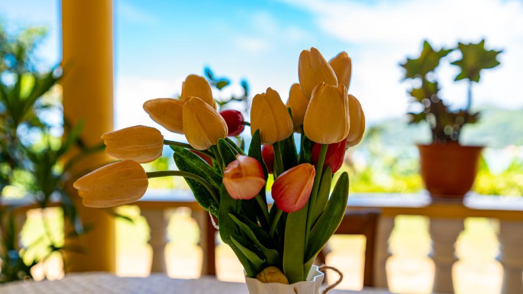 Photo 22: SeyBreeze Villa Guest House - Mahé (Seychelles)