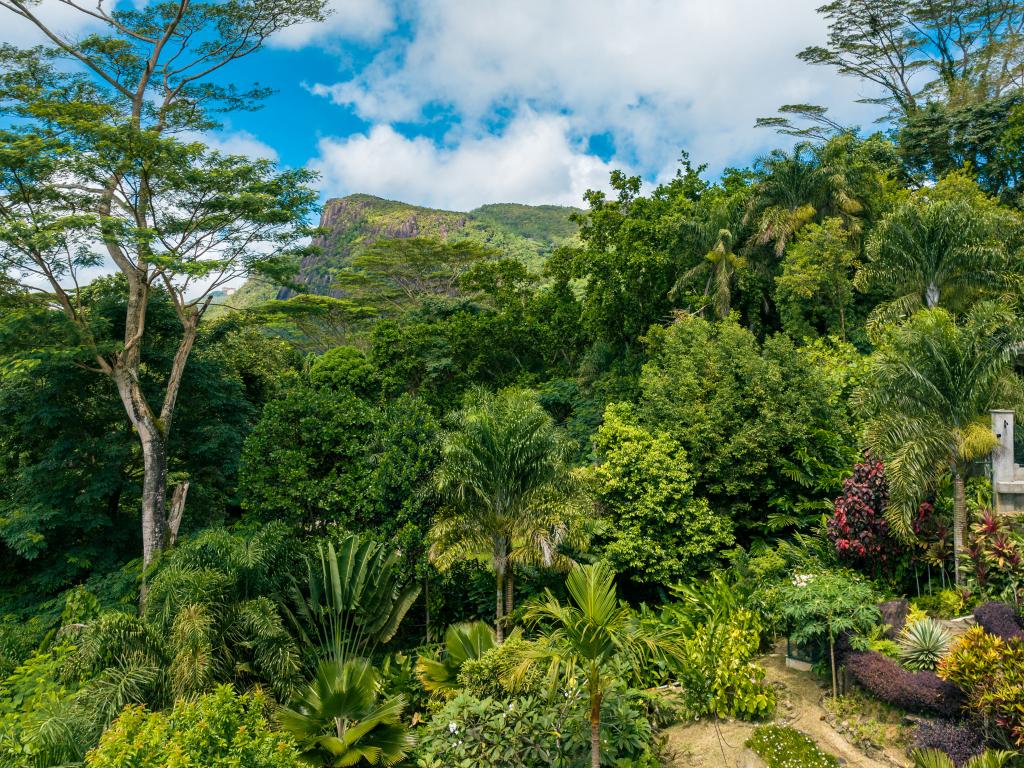 Villa Gabriella - Foto 9