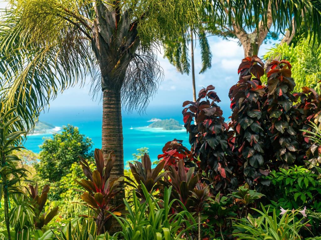 Villa Gabriella - Foto 5