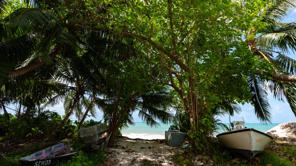 Foto 66: Bijoutier Apartments - Praslin (Seychellen)