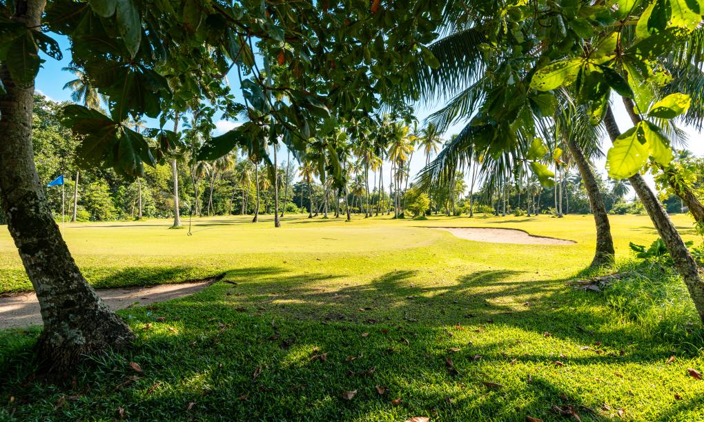 Green Palm Self Catering Apartments & Chalets