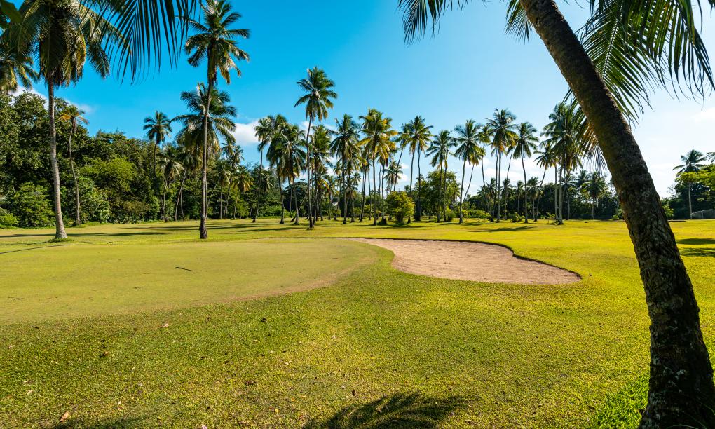 Green Palm Self Catering Apartments & Chalets