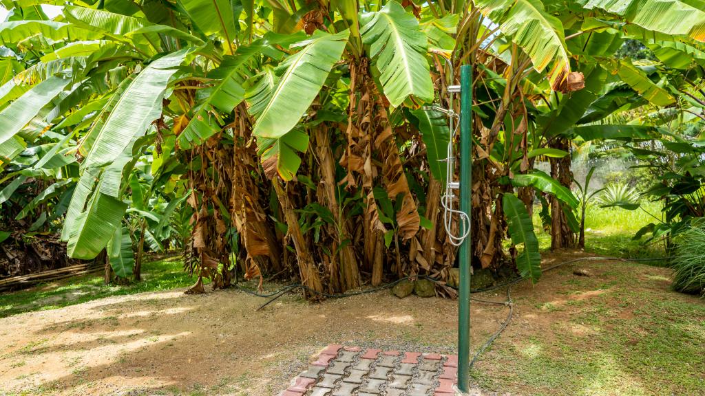 Photo 7: Reve Tropical Chambres d'Hotes - Mahé (Seychelles)