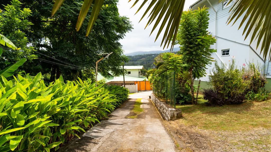 Photo 12: Reve Tropical Chambres d'Hotes - Mahé (Seychelles)