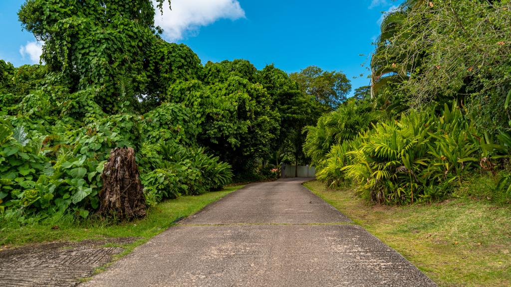 Photo 14: Reve Tropical Chambres d'Hotes - Mahé (Seychelles)