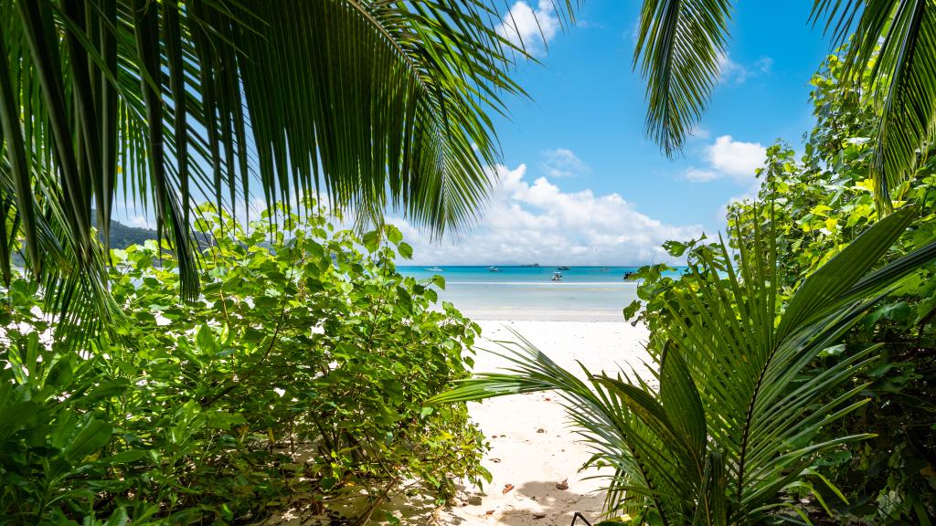 Foto 16: 88 Days Self Catering - Mahé (Seychellen)