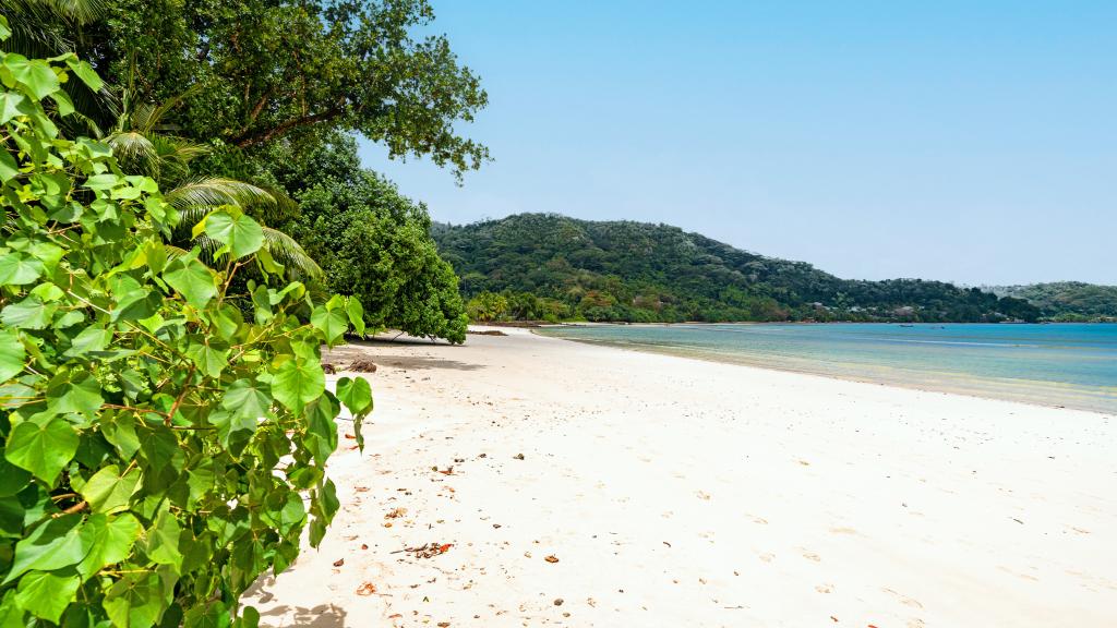 Photo 19: Seaside Self Catering - Mahé (Seychelles)