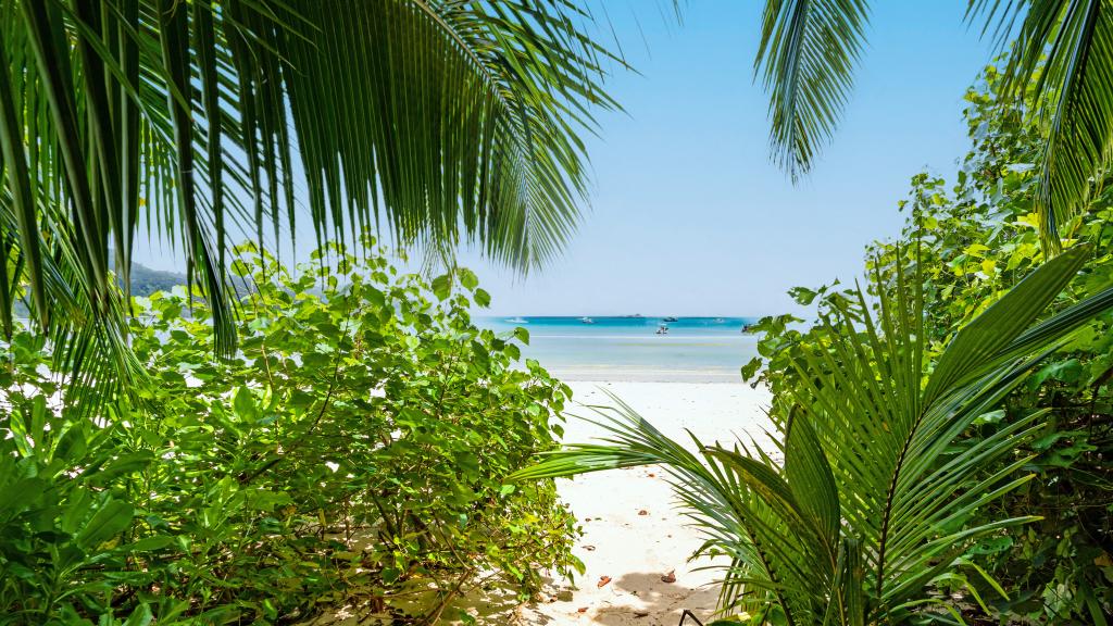 Photo 18: Seaside Self Catering - Mahé (Seychelles)