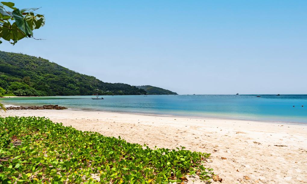 Anse La Mouche Villas