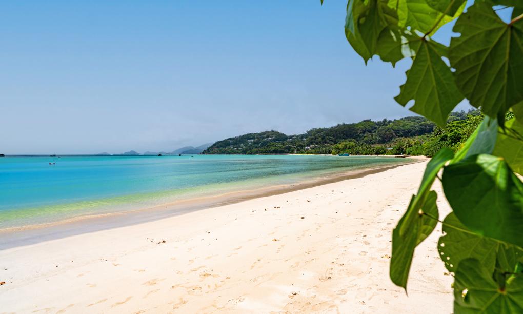 Anse La Mouche Villas