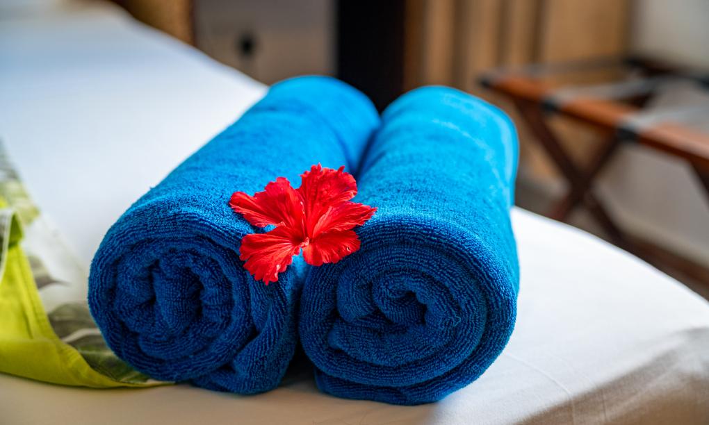 Sun Properties and Resort - Camera Standard