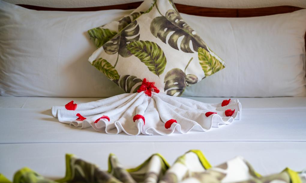 Sun Properties and Resort - Camera Standard